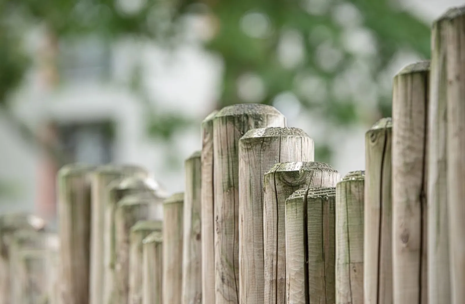 Timber garden fence posts in a garden setting