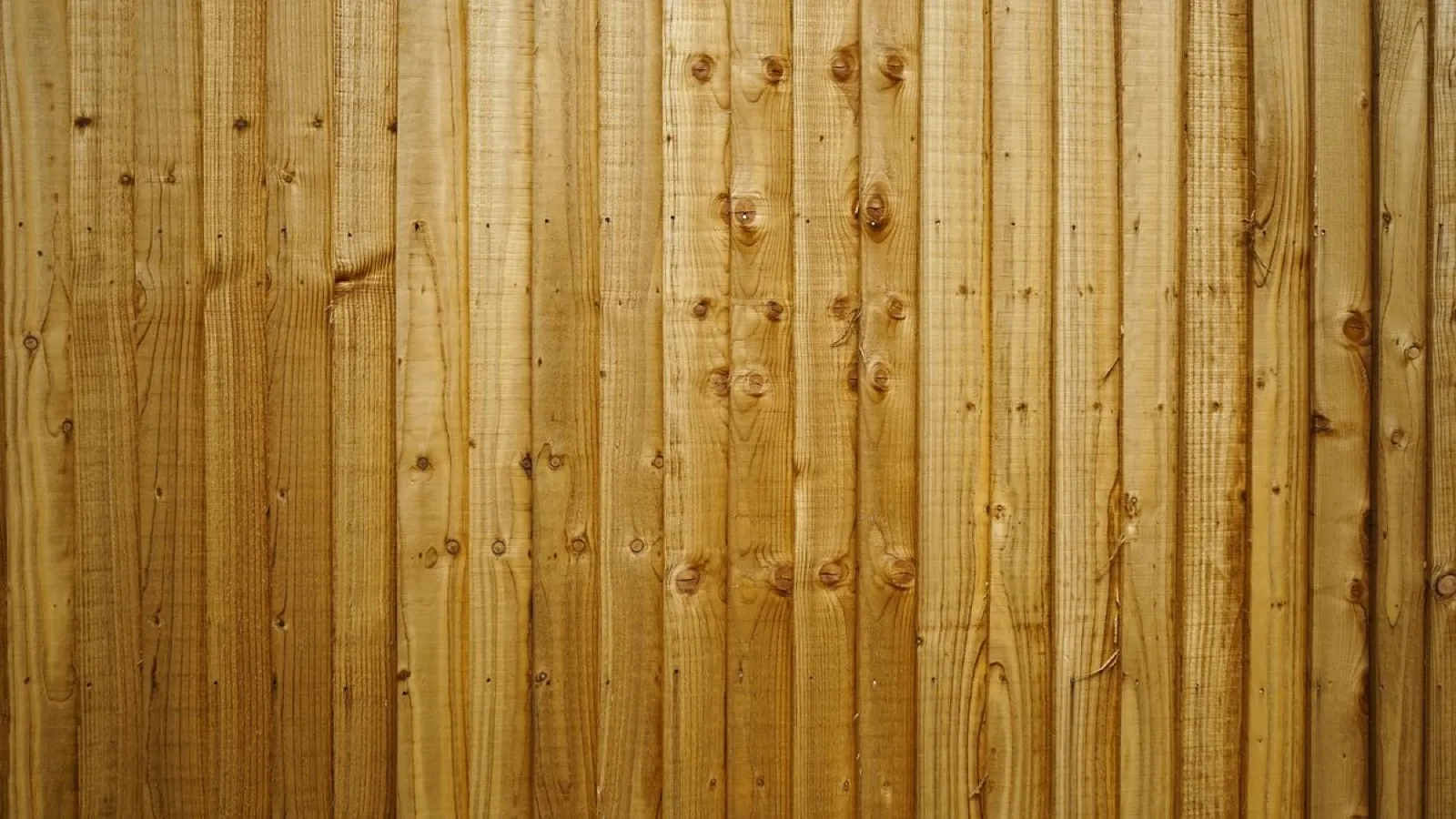Close-up of vertical timber fence boards
